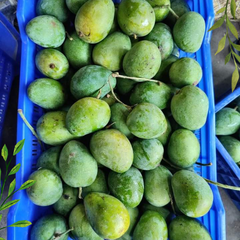ল্যাংড়া আম