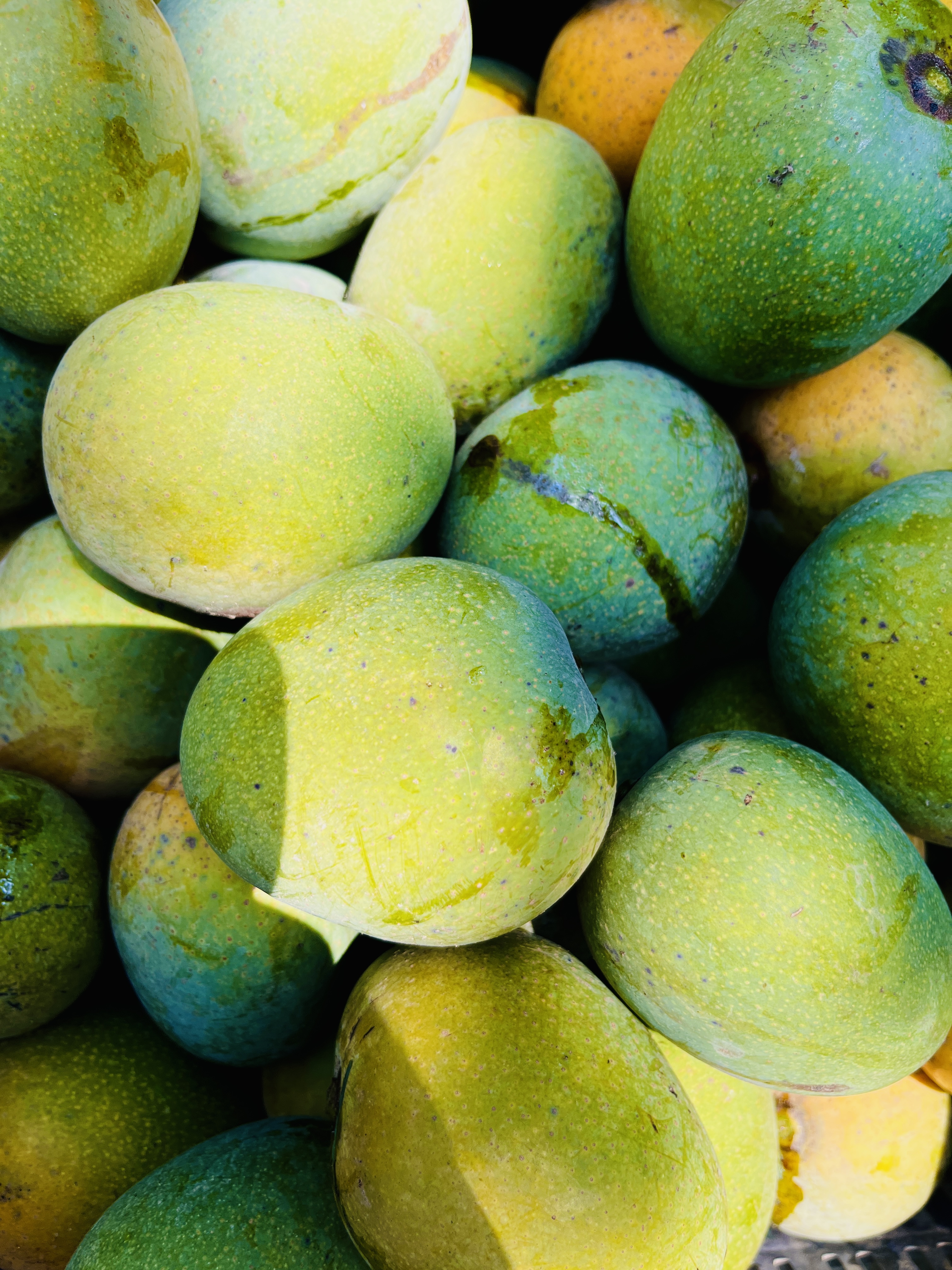 তাজা আম
